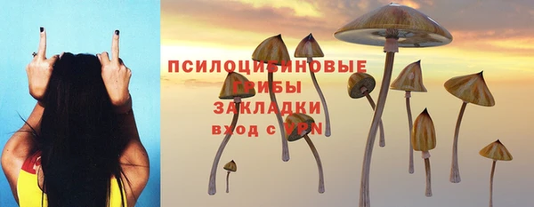 винт Алексин