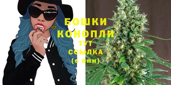 твердый Абаза