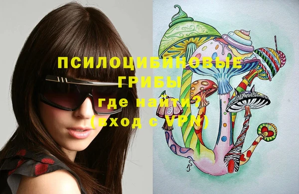 твердый Абаза