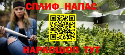 гидропоника Берёзовский