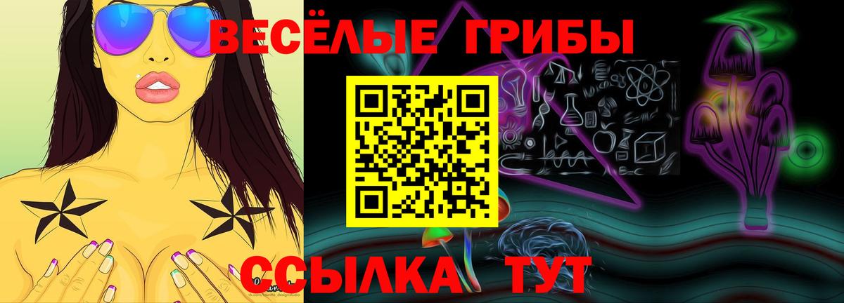 Ефремов  Псилоцибиновые грибы Cubensis  Вход с VPN  Галлюциногенные грибы MAGIC MUSHROOMS 