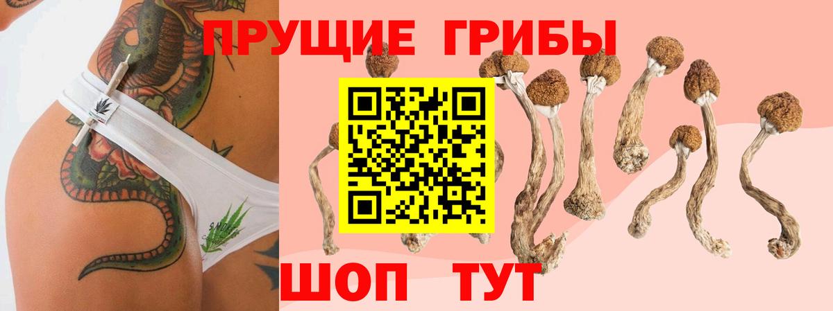 Галлюциногенные грибы прущие грибы Ефремов
